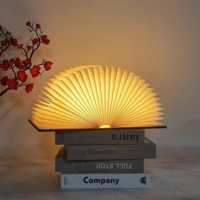 lampe livre allume