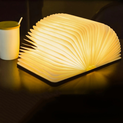 lampe livre bureau