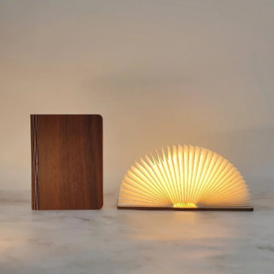 lampe livre variante fonce
